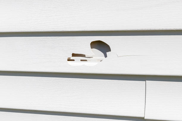 Reliable Hamilton, TX Siding Solutions